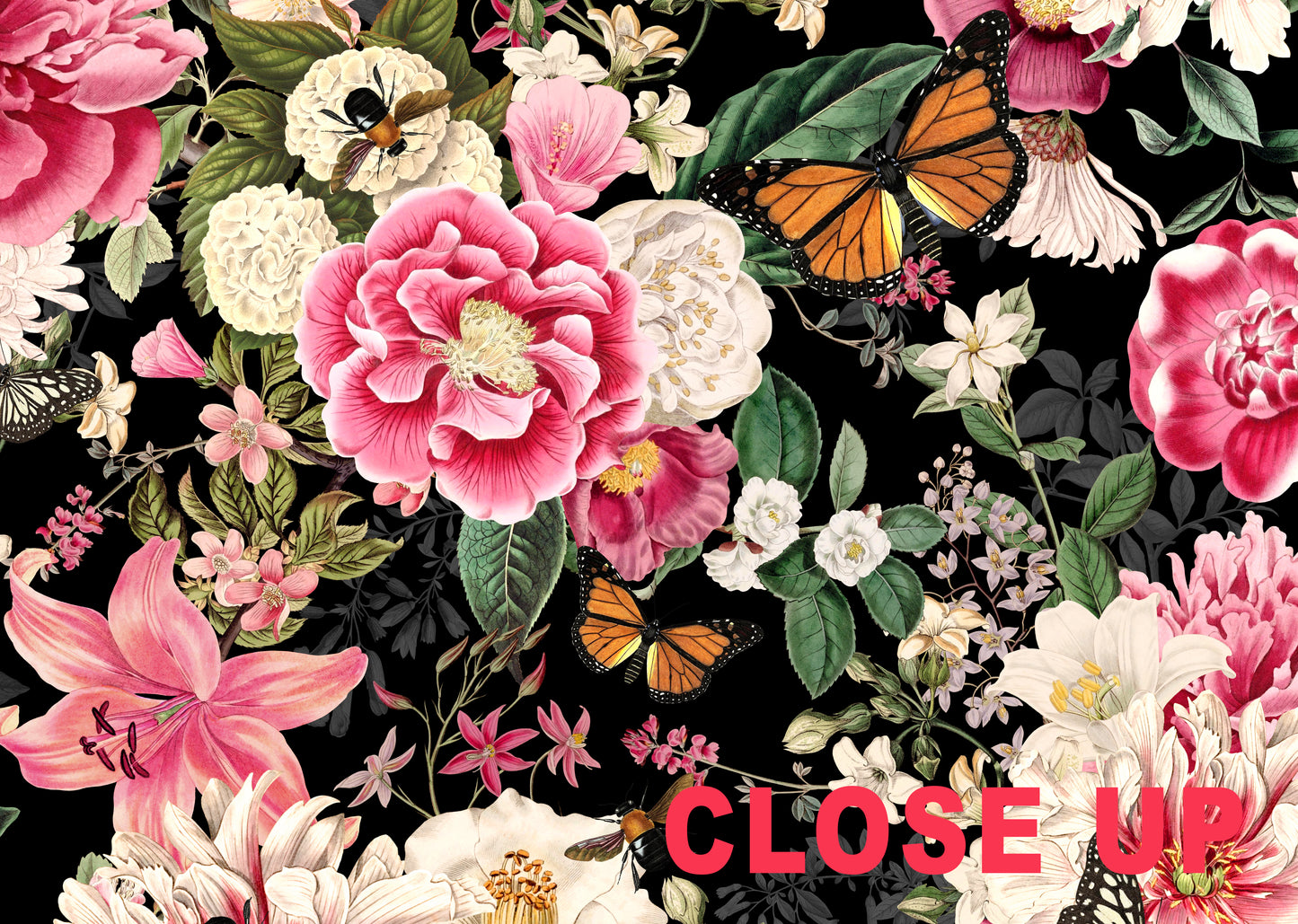 Floral Fantasy Blooms and Butterflies Wallpaper Mural